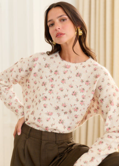 Pull Bianca